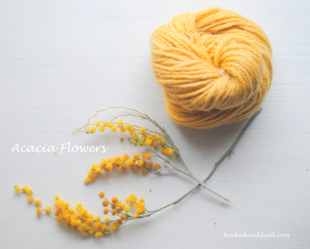 Natural Dye with Acacia Flowers